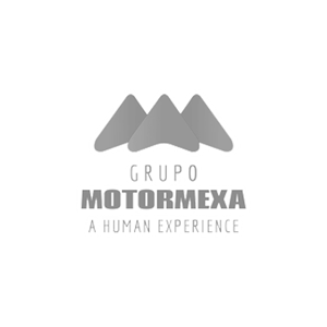 motormexa-300x300